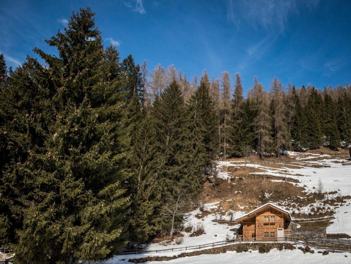 랍비 Chalet Bambi 빌라 외부 사진