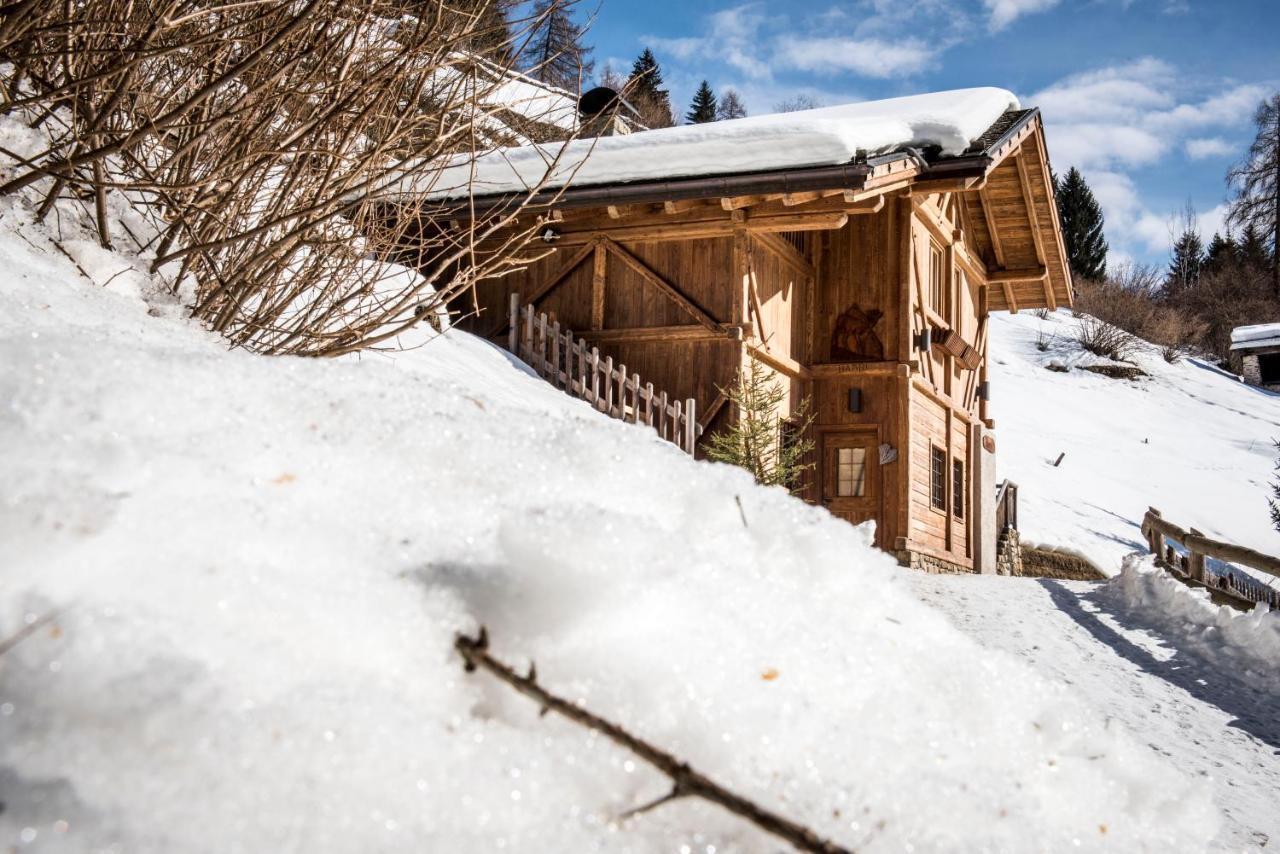 랍비 Chalet Bambi 빌라 외부 사진