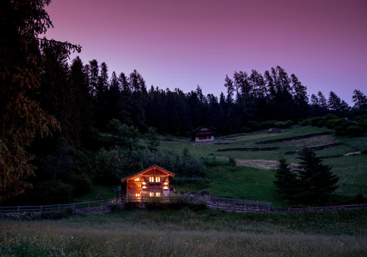 랍비 Chalet Bambi 빌라 외부 사진